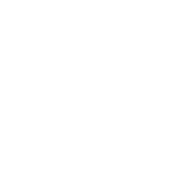 Colorado State University banner logo
